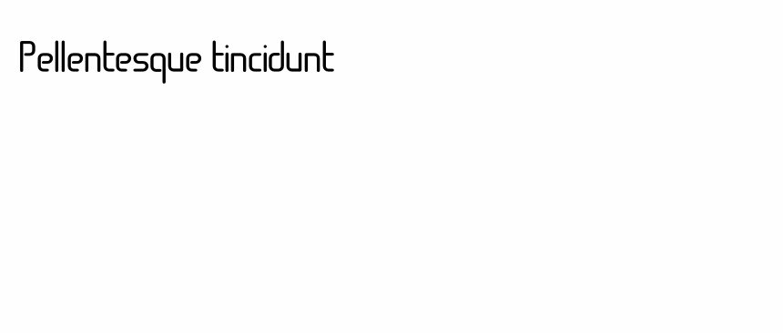 Pellentesque tincidunt
